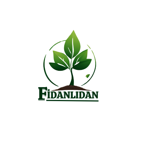 e-fidanlidan.com